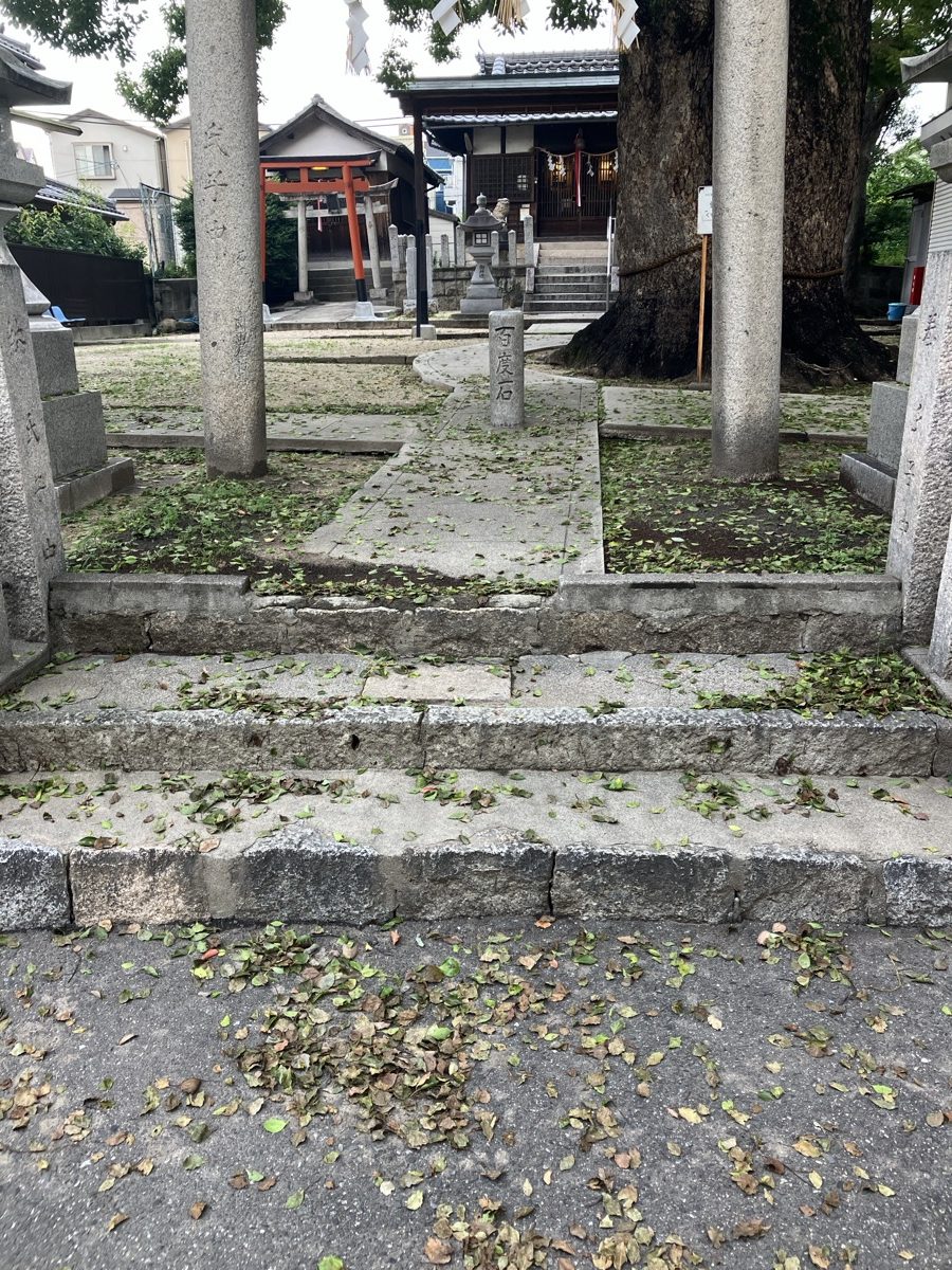 清掃前の神社境内。石段や参道に落ち葉や落下物が散らばっている