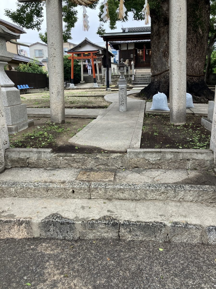 清掃後の神社境内。参道がすっきりと整い、袋に集めた落ち葉や草も見える